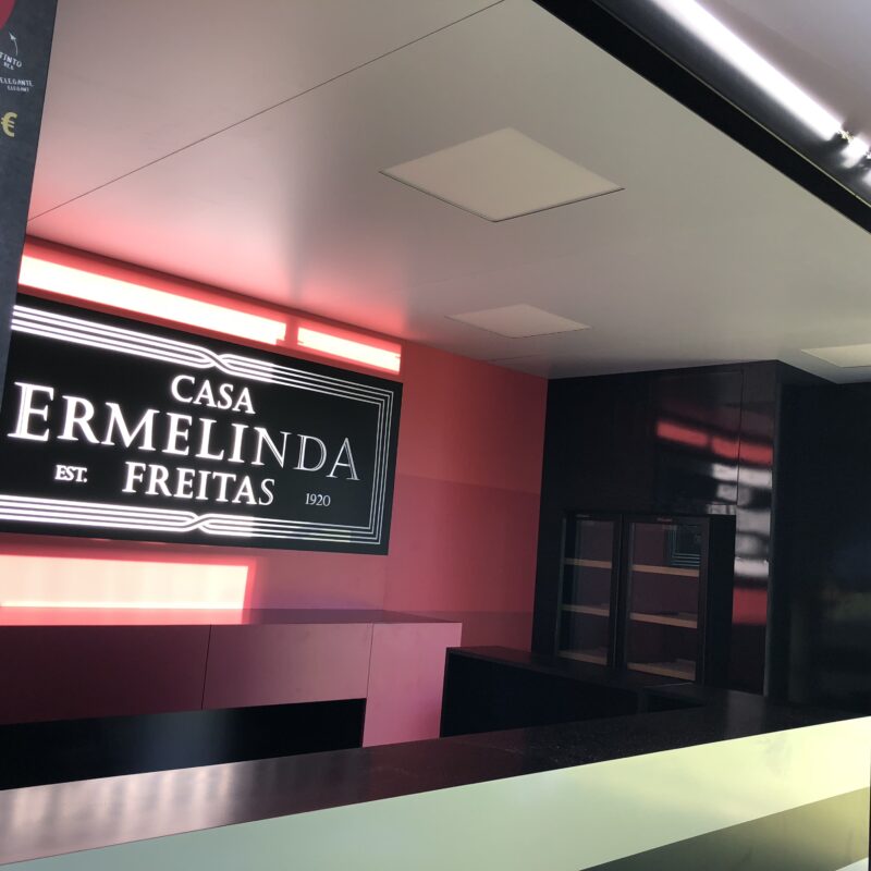 ermelinda_8